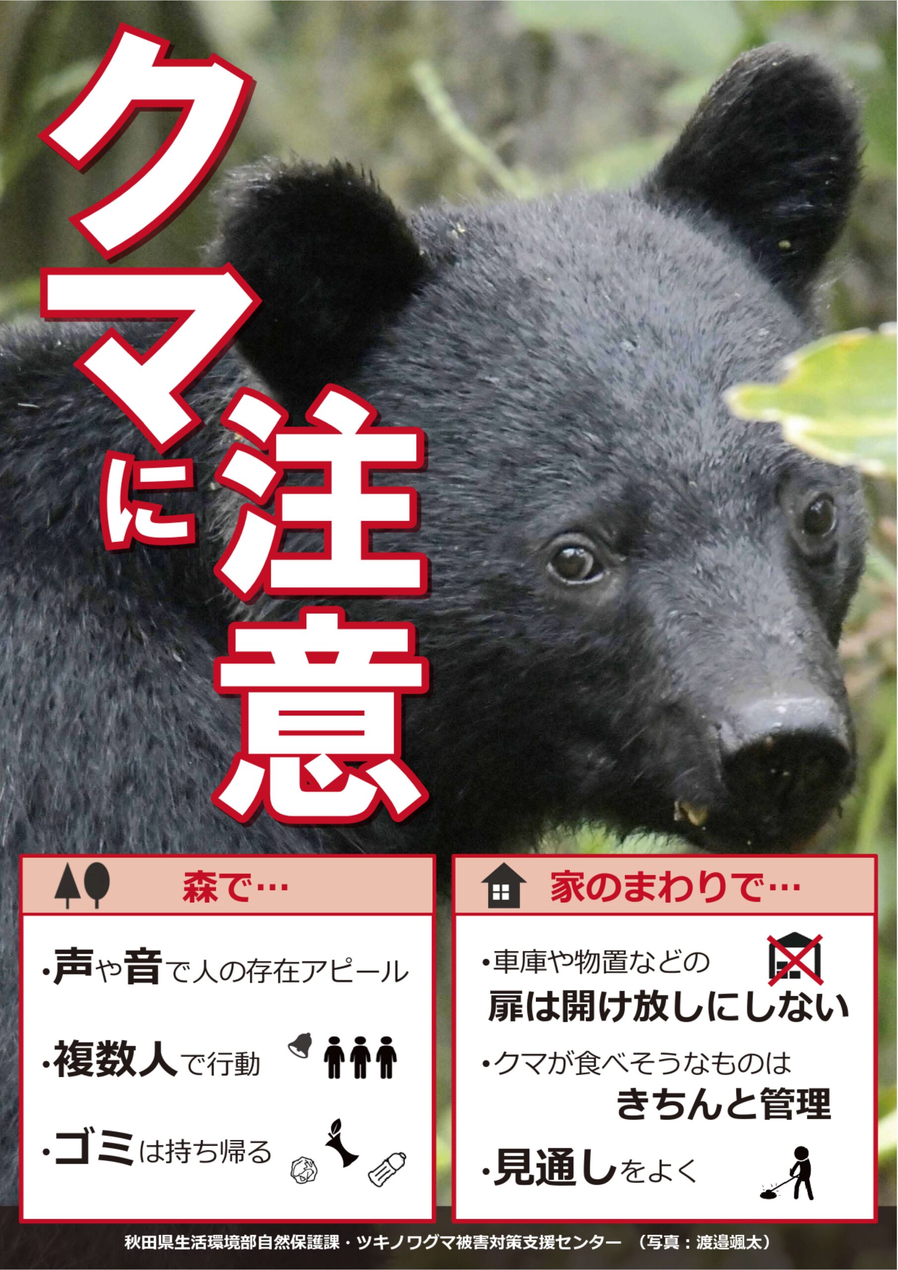 緊急】ごみ集積所にクマを寄せ付けないために！ | 秋田市町内会